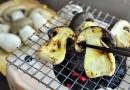 菌根菌のキノコは栽培不可能といわれていたのに！？奇跡の本しめじが食卓に・・・